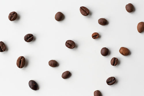Rwanda Kamonyi Kaffeebohnen Nahaufnahme