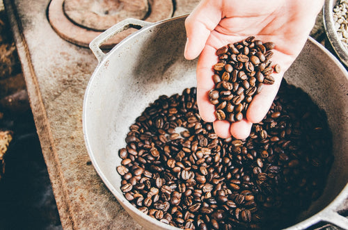 Finca El Mirado Kaffeebohnen auf Stahl