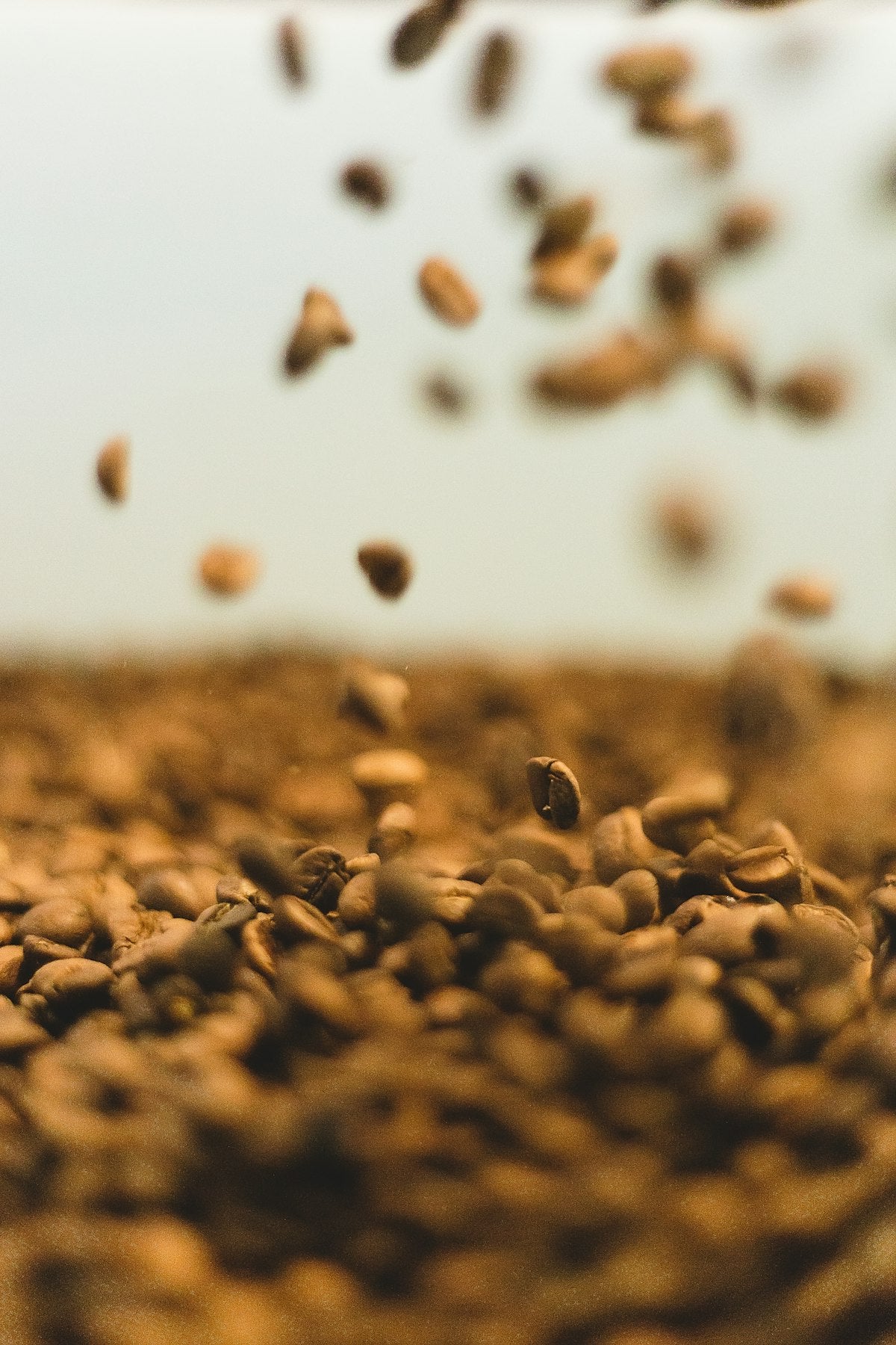 Finca El Mirado geröstete Bohnen