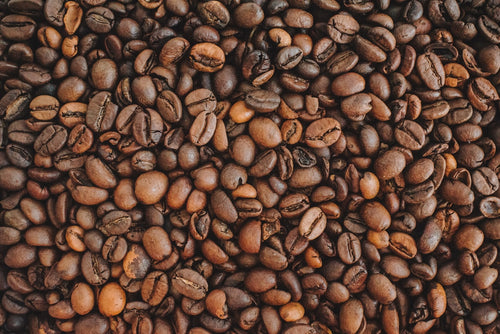 Finca Las Flores Kaffeebohnen