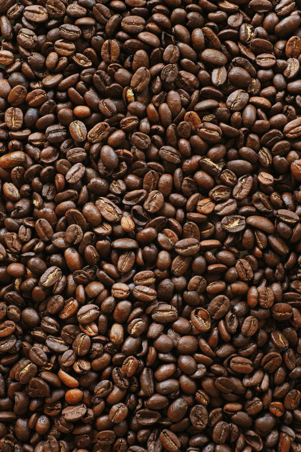 Finca El Mirado Kaffeebohnen