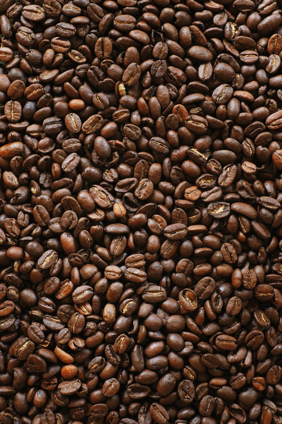 Finca El Mirado Kaffeebohnen