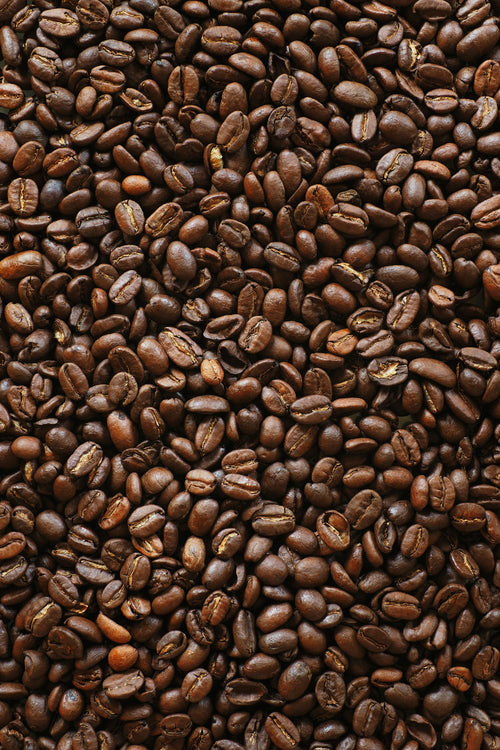 Finca El Mirado Kaffeebohnen