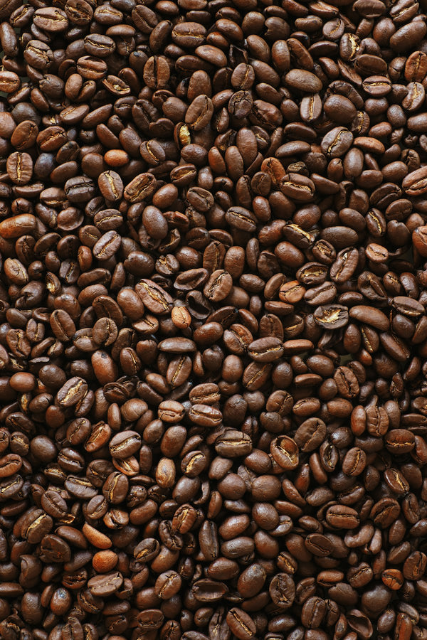 Finca El Mirado Kaffeebohnen